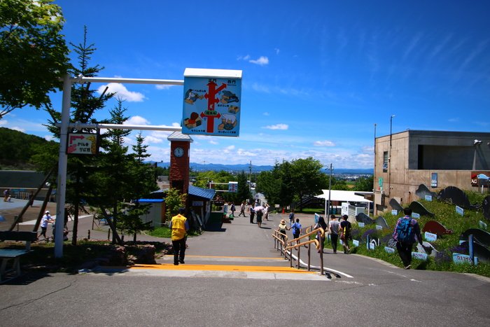 旭山動物園 (Sở thú Asahiyama)