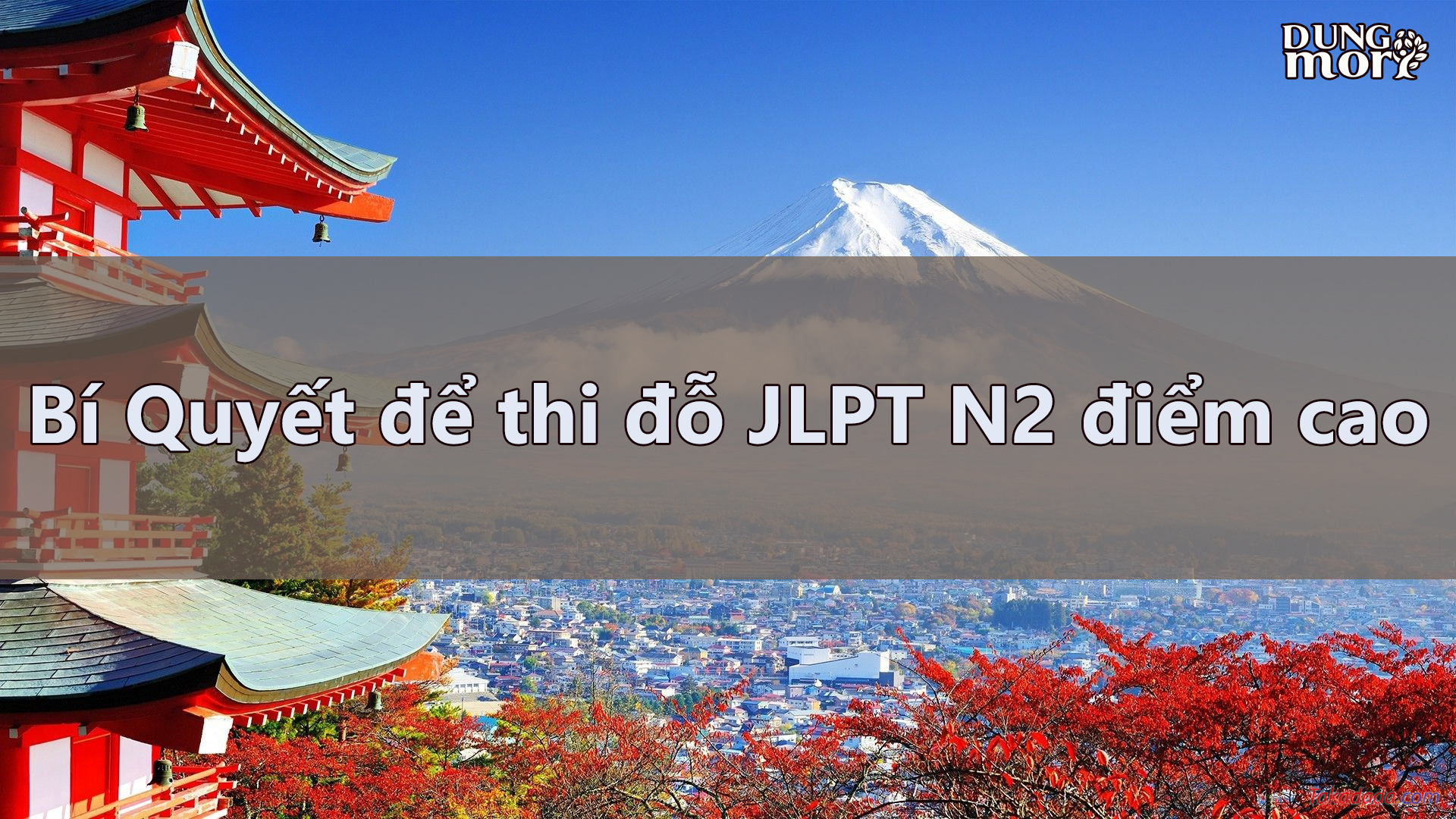 Bí Quyết để thi đỗ JLPT N2 điểm cao