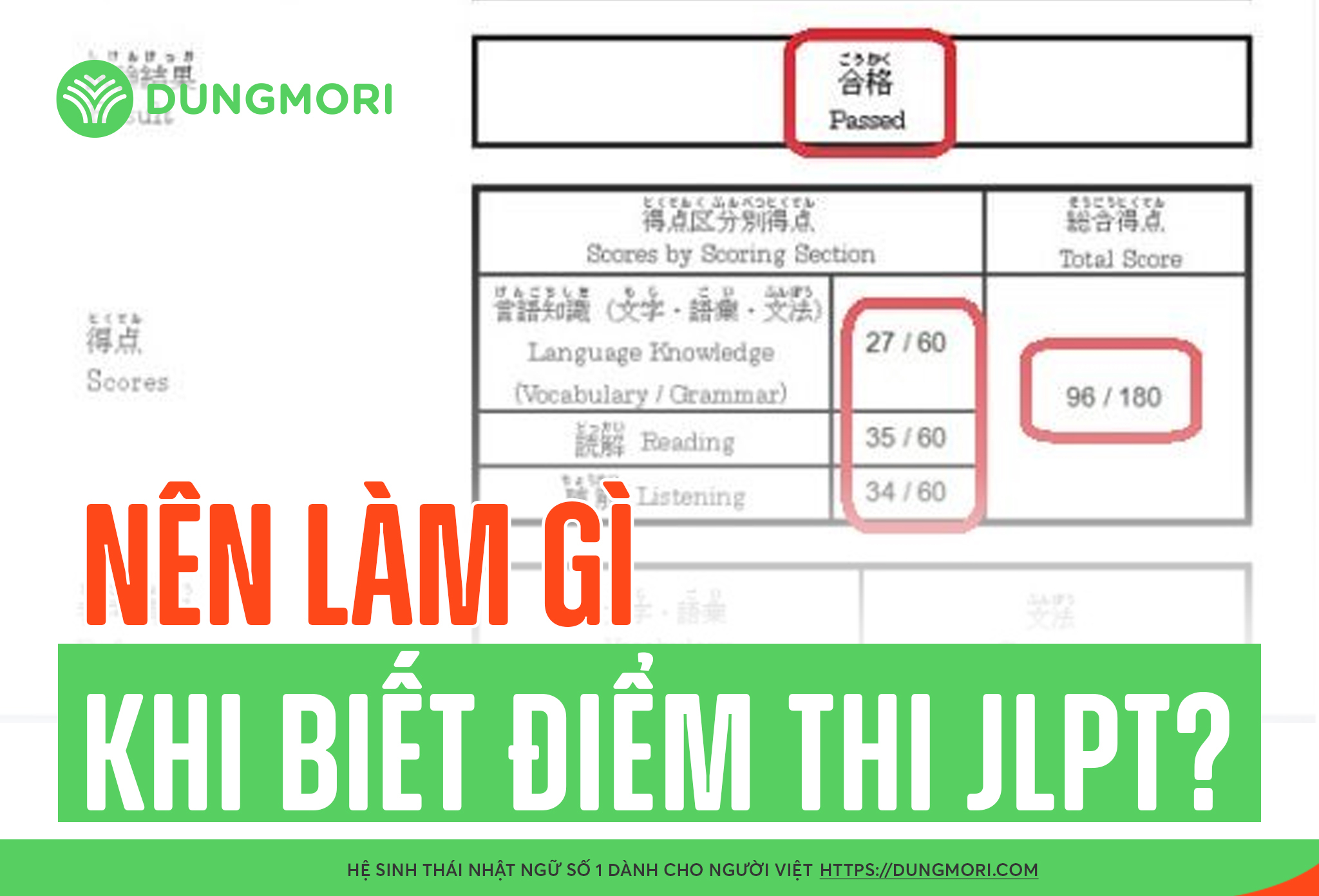 Nên làm gì khi biết điểm thi JLPT?