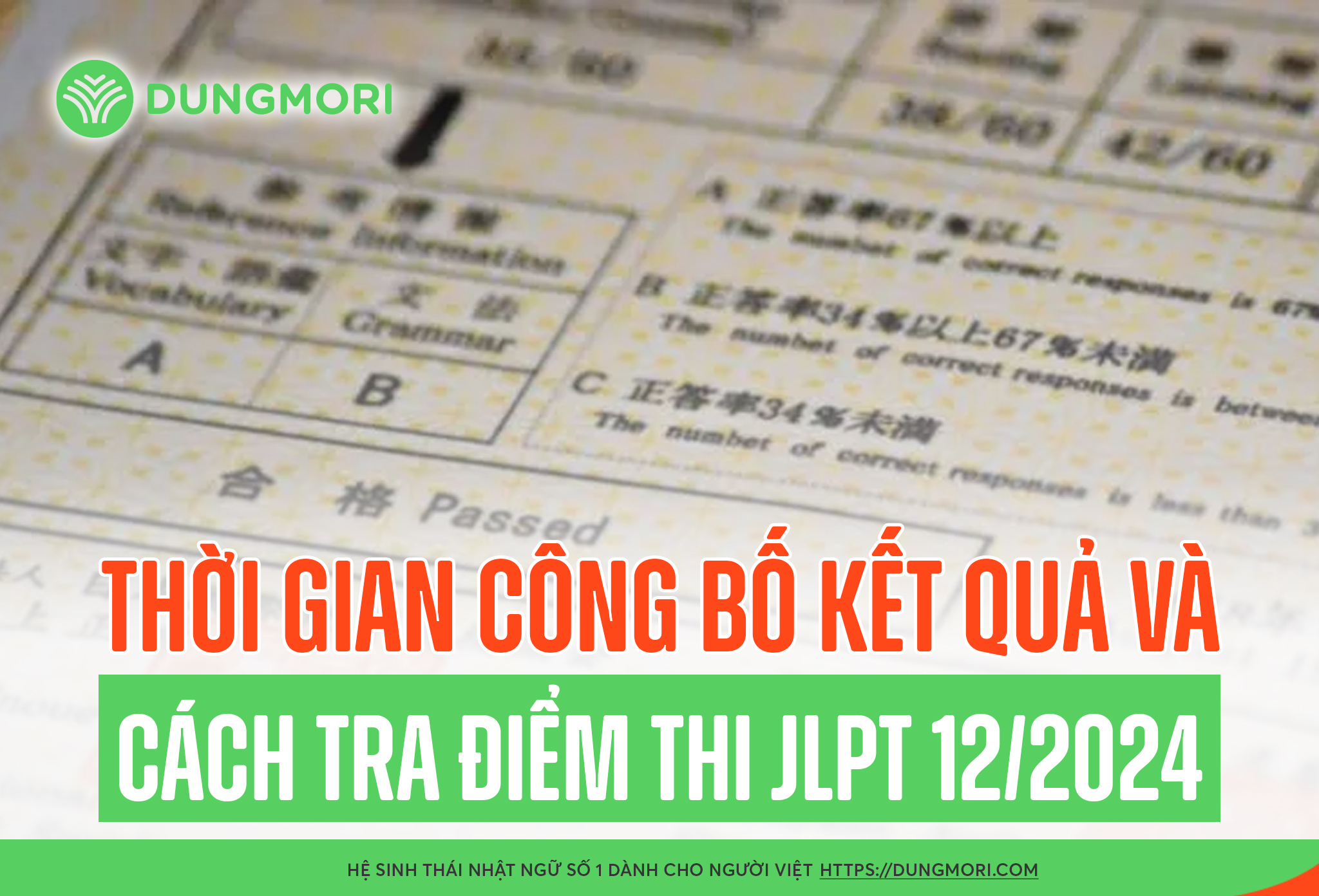 Thời gian công bố kết quả và cách tra điểm thi JLPT 12/2024