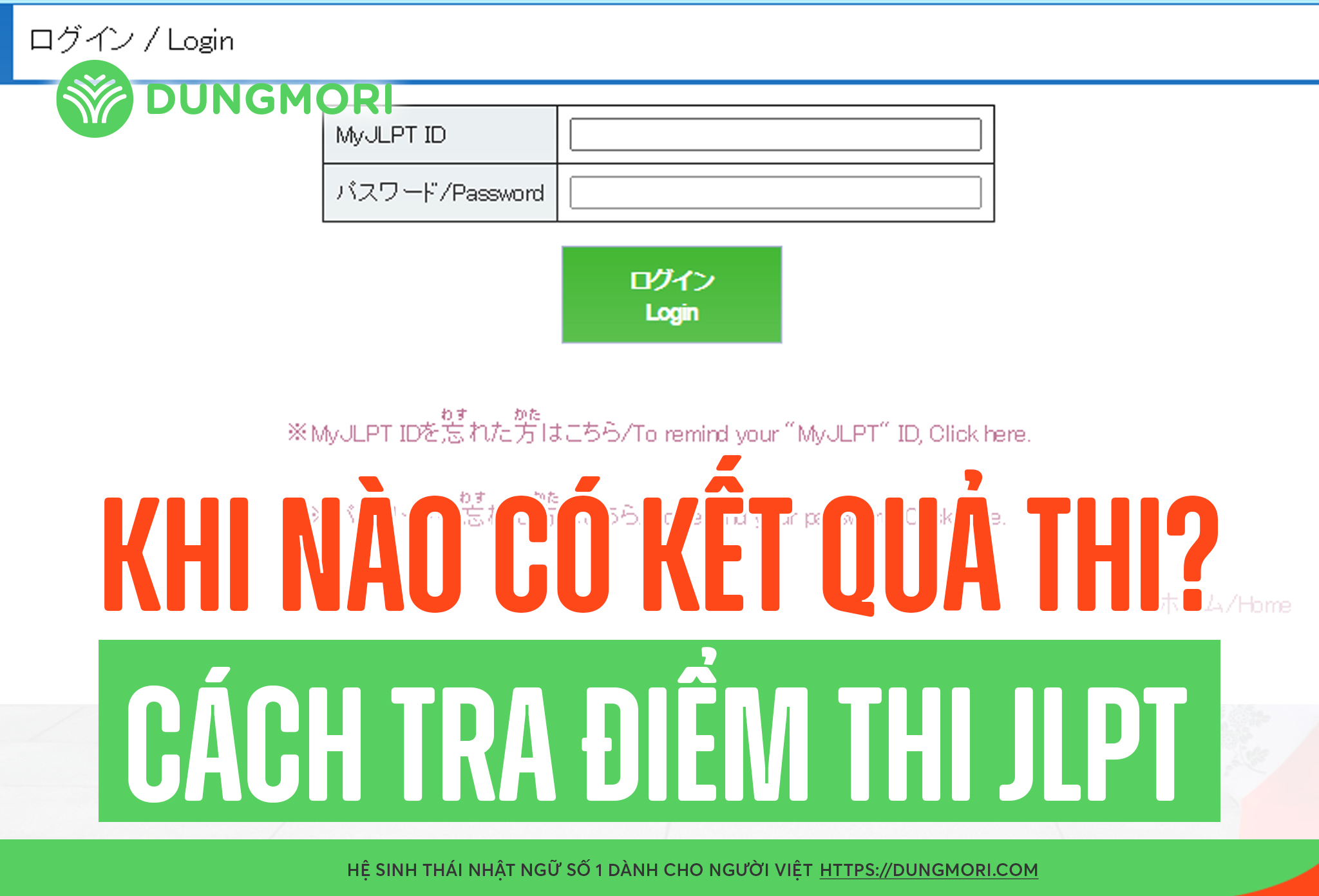 Thời gian công bố kết quả và cách tra điểm thi JLPT 7/2025